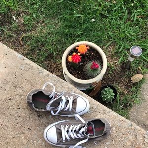 Gently used converse